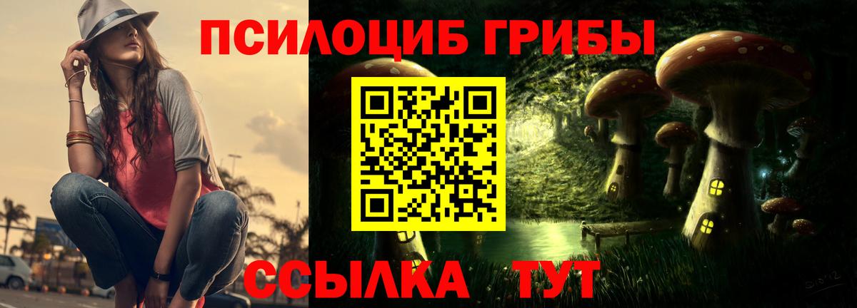 где купить наркотик  Вход с VPN  Галлюциногенные грибы Psilocybine cubensis  Семёнов  Псилоцибиновые грибы ЛСД 